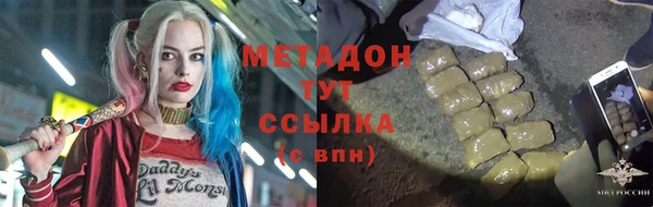 сатива Ельня