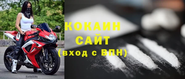 сатива Ельня