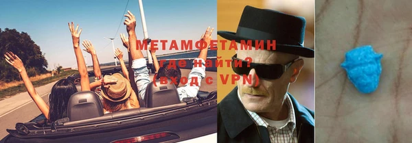сатива Ельня