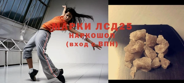 сатива Ельня