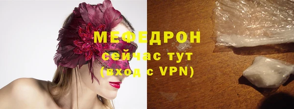 сатива Ельня