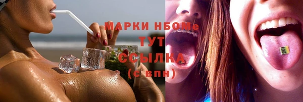 хмурый Елизово