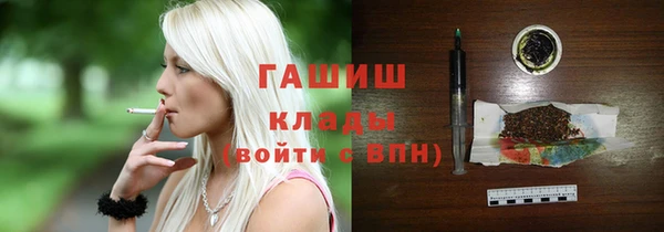 сатива Ельня