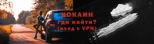 сатива Ельня