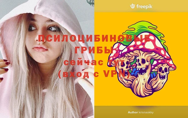 хмурый Елизово
