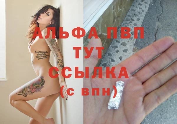 сатива Ельня