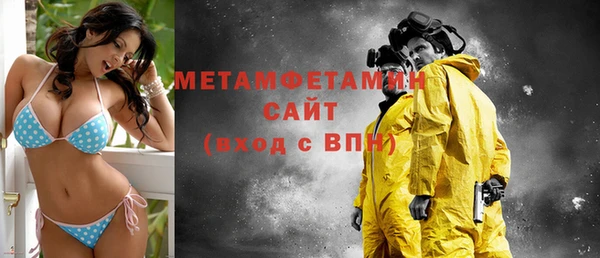 сатива Ельня