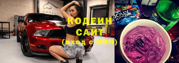 хмурый Елизово