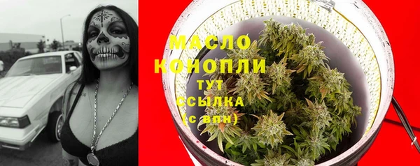 сатива Ельня