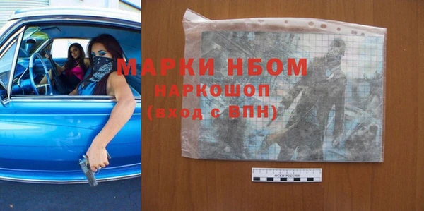 соль ск Тайга