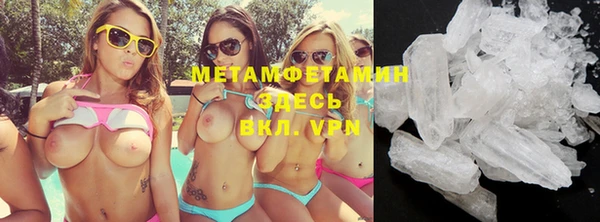сатива Ельня