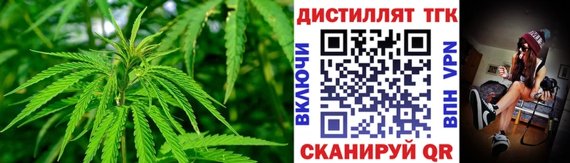 Купить где  Реж  ТГК концентрат 
